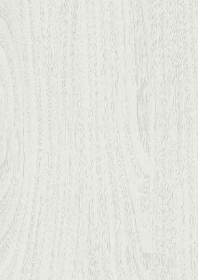 Pecan Snow-White Download Datei 